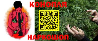 ALPHA PVP Ярославль