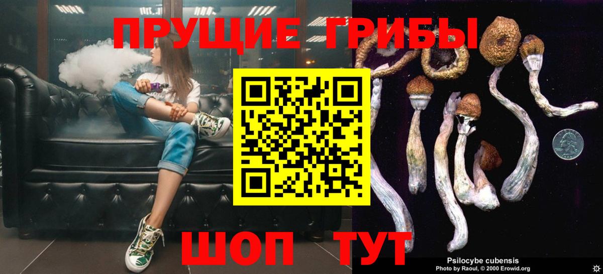 Галлюциногенные грибы GOLDEN TEACHER Новоалтайск