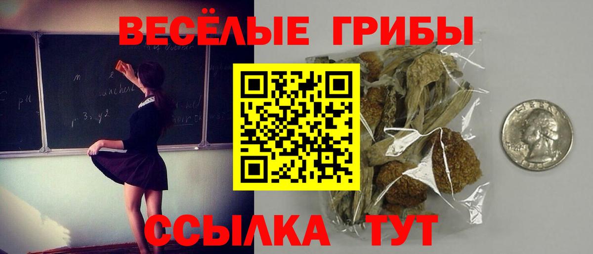 Новоалтайск  Галлюциногенные грибы прущие грибы  Вход с VPN 